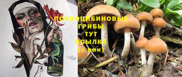 эйфоретик Вязьма