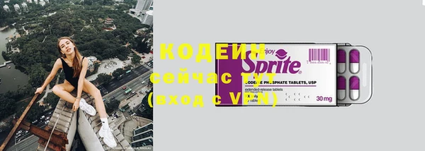 сатива Горняк