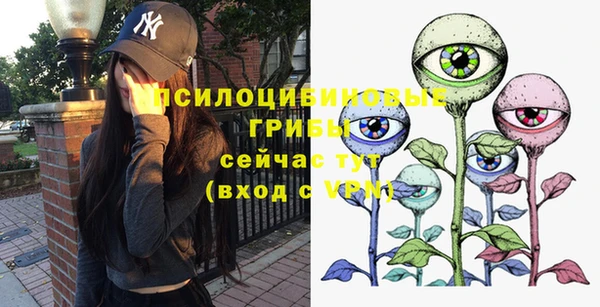 мет Вяземский