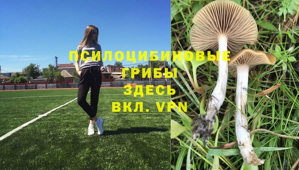 MDMA Горно-Алтайск