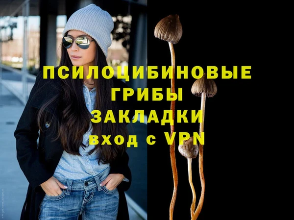 мет Вяземский