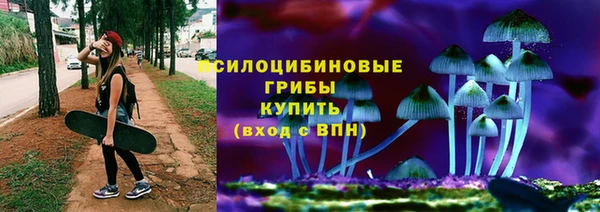 эйфоретик Вязьма