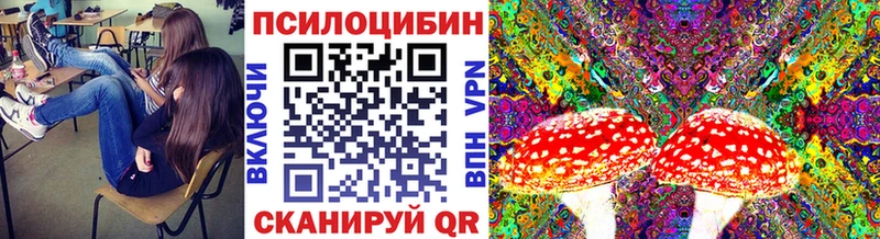 Галлюциногенные грибы прущие грибы  Чита 